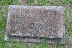 Liddie Ann Ward - Headstone