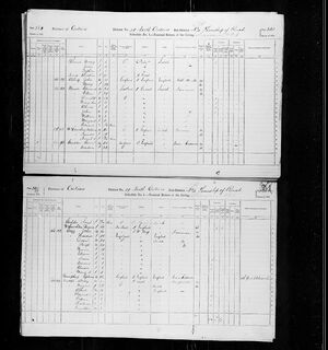 Golden, McLaughlin 1871 Census