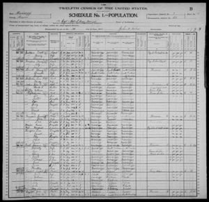 1900 Census 1 Jun ED68 sheet16B