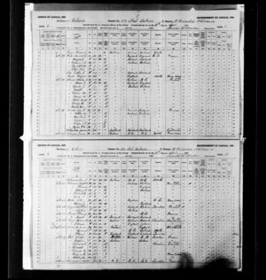 Canada Census 1891: Abraham Skinner