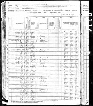 1880 US Federal Census - Issac Owens and Family