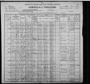 1900 1458 Militia District, Liberty Co, Georgia, USA Census for Gordon Family