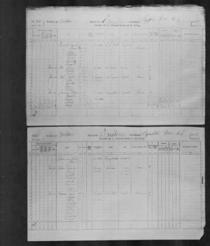 1871 Census of Canada - James Bannister and Family - Page 2 and Hair Families
