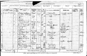 1881 Census Lyon Family
