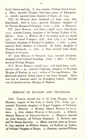 A history of the family of Morgan