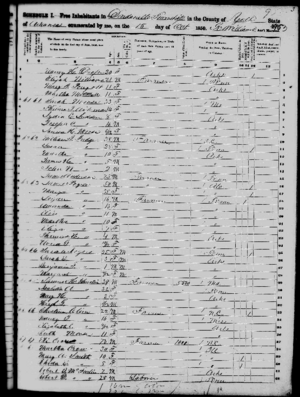 1850 Census, Dardanelle, Yell, Arkansas