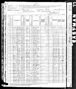 1880 census for Nancy ( Alexander ) Sexton
