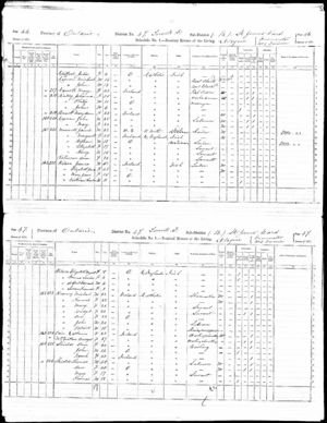 Thomas Shields  Family 1871 census