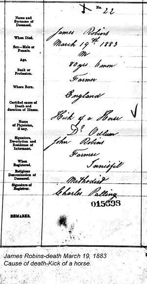 James Robins Enlargement of death certificate