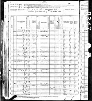  1880 United States Federal Census