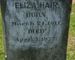 Eliza (Hawthorn) Hair