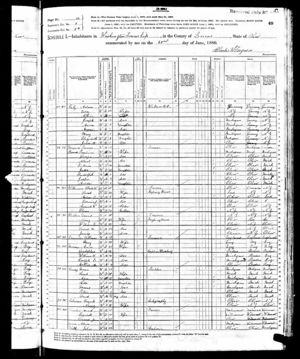 1880 Census for David Walker Family