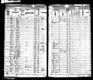 1885 Iowa Census Brown