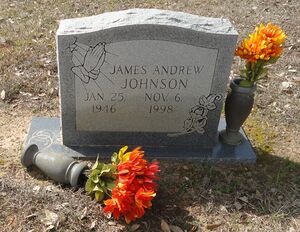 James Andrew Johnson headstone