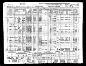 1940 US Census Duboistown, PA