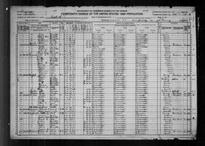Will Dillard 1920 Census