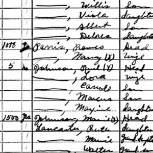 1930 Census Spartanburg Co, SC Campobello District