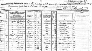1915 NY state census