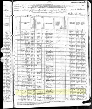 Mary Rose ONeal Carney 1880 Census
