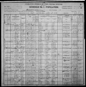 US Census Document 1900