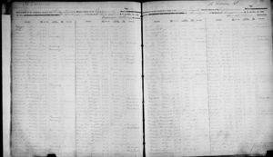 Michael Fox - 1892 NYS Census pg. 2