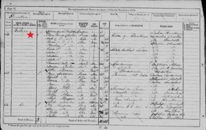 England & Wales Census, 1871