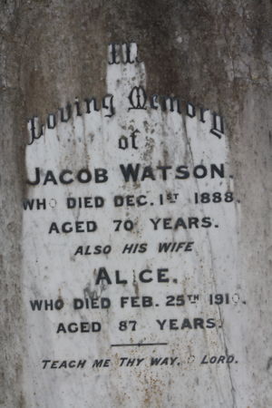 Jacob and Alice Watson