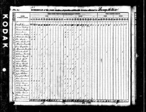 Census 1840 - Hawkins, Tennessee