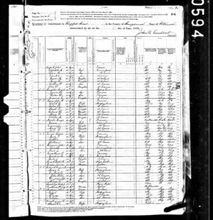 1880 US Census Page 1 ED 200 Buffalo Hart Township
