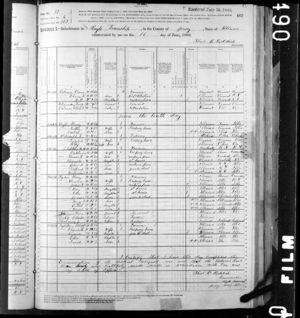 1880 US Census   Wm Stephenson Sr and Jr