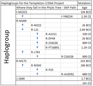 Templeton-2 DNA Project Haplogroups Chart