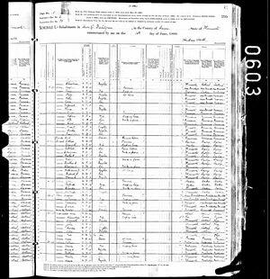 Census 1880 Carver MN