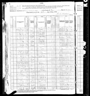 1880 Census