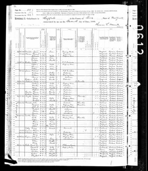 Michael Jones Family June 1880 Census