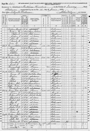 Rachel A. D. 1870 census, age 16, dau of Joshua B. Murray