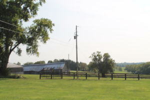 Boone Station's live stock barn and tobacco house
