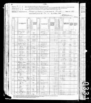 1880 Federal Census - Jane Peak Household
