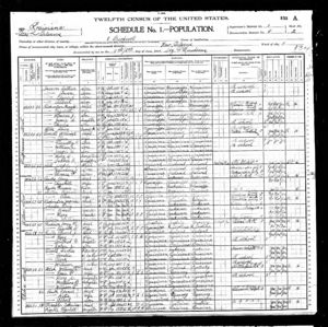 1900 United States Federal Census - Orleans Parish, Louisiana