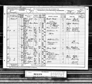 1891 Census