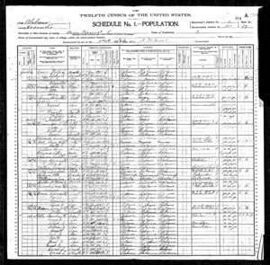 1900 Federal Census