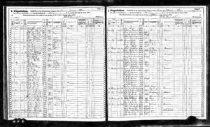 Eli Perry Family in 1875 New York State Census