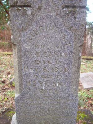 Gravestone for Catherine J. McEldowney Eakin
