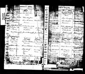 Elizabeth Topper Birth Record