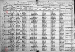 Blackburn, Quillin, Reedy, Spencer, Waddell & Walton 1920 Census
