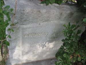 Andrew Johnson Image 1