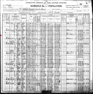 Charles Elisha Bright - 1900 United States Federal Census - Graves KY