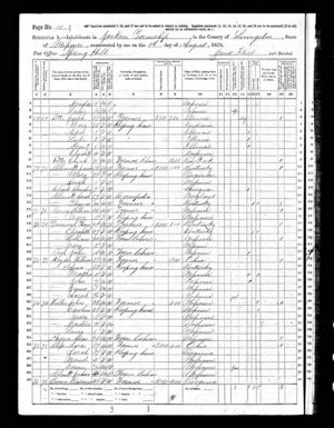 Rosannah M. Brown Family, 1870 U.S. Census