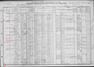 Blackburn, Davis, Reedy & Walton Families 1910 Census