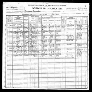 Ferdinand & Bertha Heller family, 1900 census, page 2