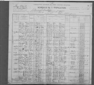 US Census 1900, Borough of Manhatten, New York City, New York: Cornelius Vanderbilt III Household